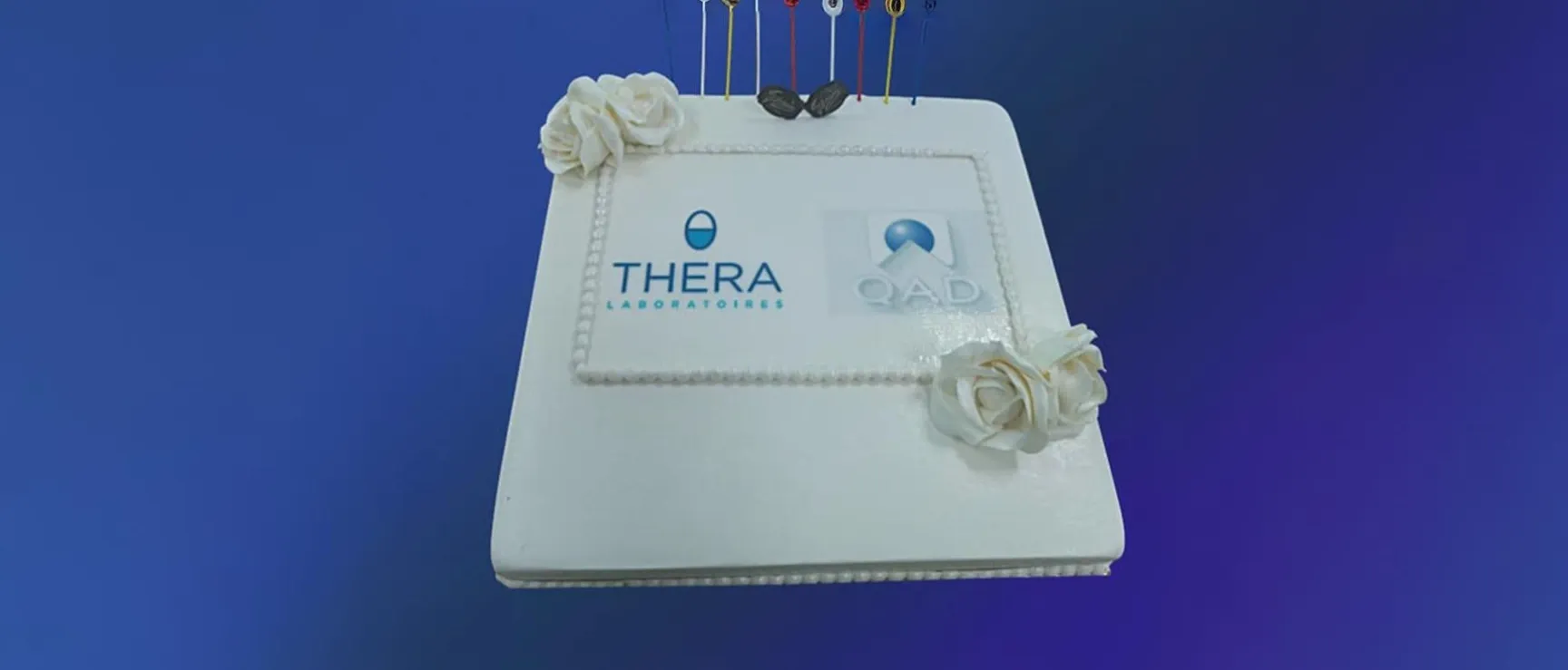 L'équipe QAD de Discovery Informatique a assuré avec succès la montée en version pour son client Théra