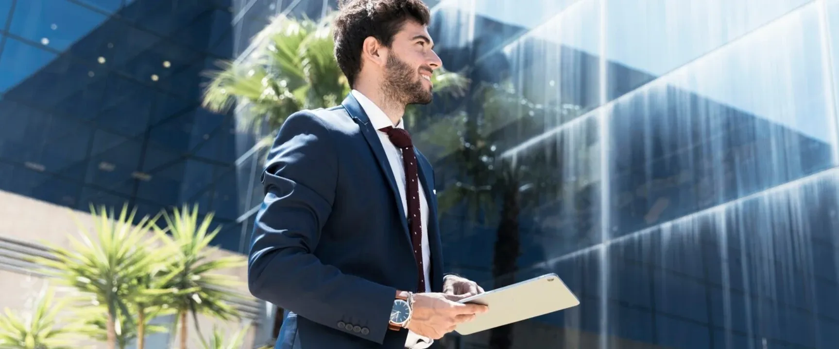 Microsoft solutions: Dynamics 365 Business Central & Power BI